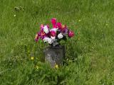 image of grave number 662922